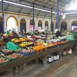 Santarém Municipal Market (Mercado Municipal) - Santarém