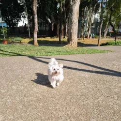 Parque Antonio Fláquer I - Santo Andre