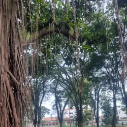 Parque Antonio Fláquer I - Santo Andre