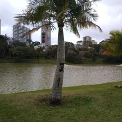 Parque Central - Santo Andre