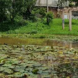 Parque Central - Santo Andre