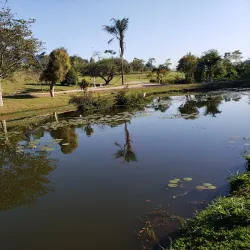 Parque Central - Santo Andre