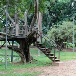 Parque Natural Municipal da Criança - Santo Andre