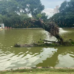 Parque Natural Municipal da Criança - Santo Andre