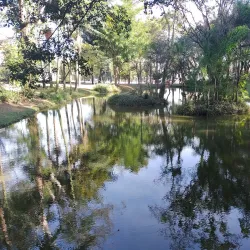 Parque Natural Municipal da Criança - Santo Andre