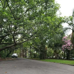Parque Natural Municipal da Criança - Santo Andre