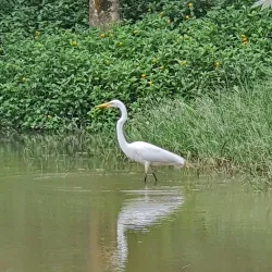 Parque Natural Municipal da Criança - Santo Andre