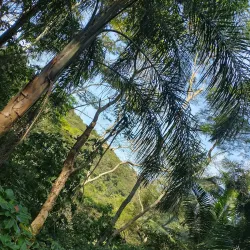 Parque Natural Municipal do Pedroso - Santo Andre