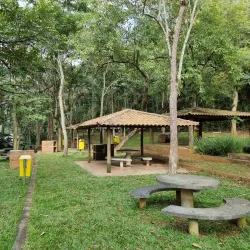 Parque Natural Municipal do Pedroso - Santo Andre