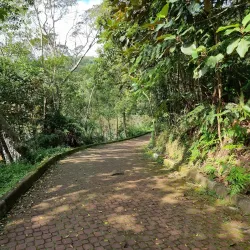 Parque Natural Municipal do Pedroso - Santo Andre