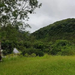 Parque Natural Municipal do Pedroso - Santo Andre