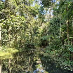 Parque Natural Municipal do Pedroso - Santo Andre