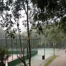 Parque Natural Municipal do Pedroso - Santo Andre