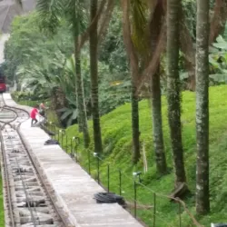 Monte Serrat Hill - Santos