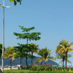 Orla Beach Gardens - Santos