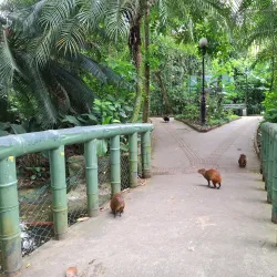 Orquidário Municipal de Santos - Santos