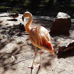 Orquidário Municipal de Santos - Santos