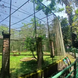 Orquidário Municipal de Santos - Santos