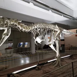 Museu de Ciência e Tecnologia da UFSCar - Sao Carlos