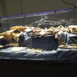 Museu de Ciência e Tecnologia da UFSCar - Sao Carlos