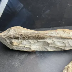 Museu de Ciência e Tecnologia da UFSCar - Sao Carlos