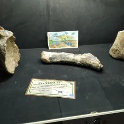 Museu de Ciência e Tecnologia da UFSCar - Sao Carlos