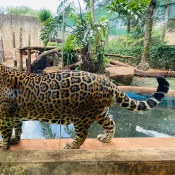 Parque Ecológico da USP São Carlos - Sao Carlos