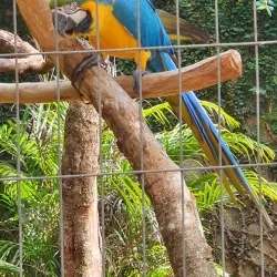 Parque Ecológico da USP São Carlos - Sao Carlos