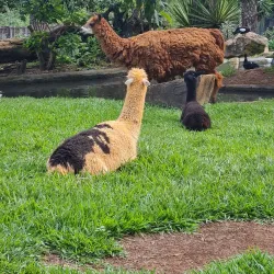 Parque Ecológico da USP São Carlos - Sao Carlos