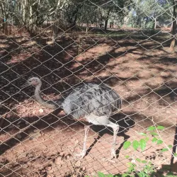 Parque Ecológico da USP São Carlos - Sao Carlos