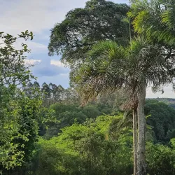 Parque Ecológico de Itirapina - Sao Carlos