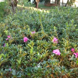Parque Ecológico de Itirapina - Sao Carlos