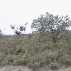 Parque Ecológico de Itirapina - Sao Carlos