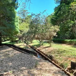 Parque Ecológico de Itirapina - Sao Carlos