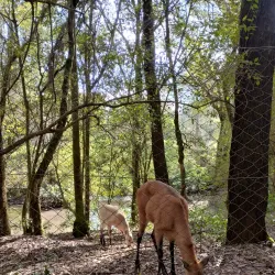 Parque Ecológico de São Carlos - Sao Carlos