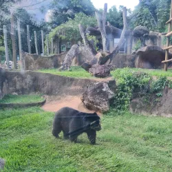 Parque Ecológico de São Carlos - Sao Carlos