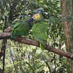 Parque Ecológico de São Carlos - Sao Carlos