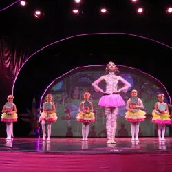 Teatro Municipal de São Carlos - Sao Carlos