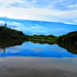 Universidade Federal de São Carlos (UFSCar) - Sao Carlos