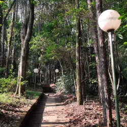 Universidade Federal de São Carlos (UFSCar) - Sao Carlos