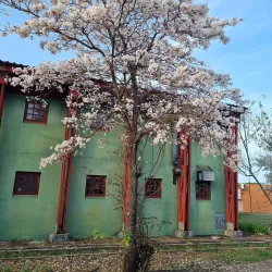 Universidade Federal de São Carlos (UFSCar) - Sao Carlos
