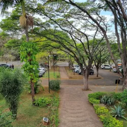 Universidade Federal de São Carlos (UFSCar) - Sao Carlos