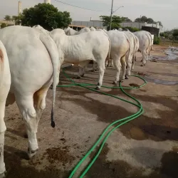 Centro Cultural e de Exposições - Sao Jose do Rio Preto SP