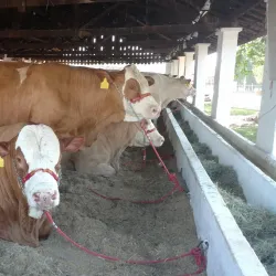 Centro Cultural e de Exposições - Sao Jose do Rio Preto SP