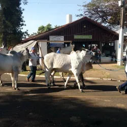 Centro Cultural e de Exposições - Sao Jose do Rio Preto SP