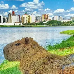 Parque da Represa Municipal - Lagoa 1 - Sao Jose do Rio Preto SP