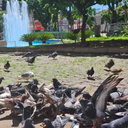Praça Rui Barbosa - Sao Jose do Rio Preto SP