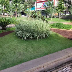 Praça Rui Barbosa - Sao Jose do Rio Preto SP