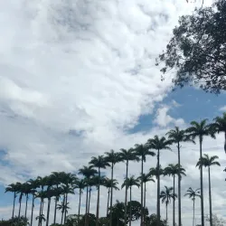 Museu do Folclore - Sao Jose dos Campos