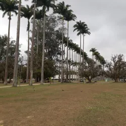 Parque da Cidade - Sao Jose dos Campos